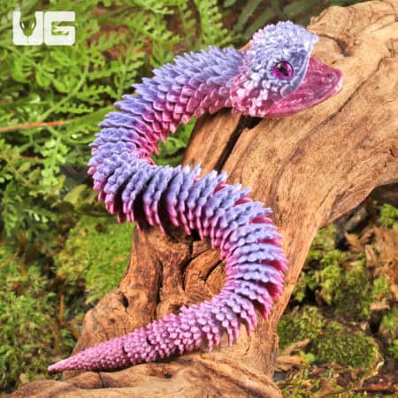 3D Printed Reptiles & Inverts – A New Dimension of Nature’s Wonders!