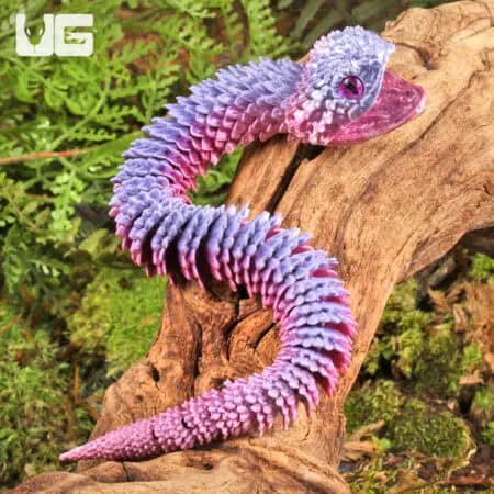 3D Printed Reptiles & Inverts – A New Dimension of Nature’s Wonders!