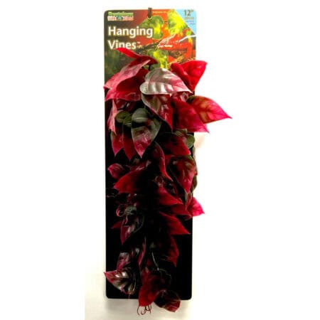 Red and green hanging vine plant for reptile terrariums and vivariums.