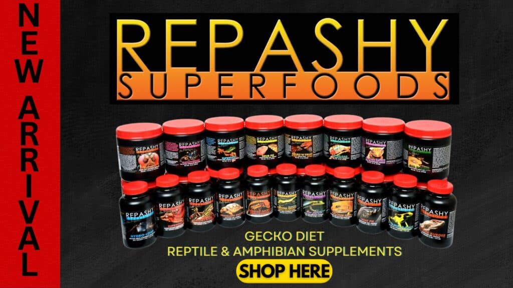 Repashy