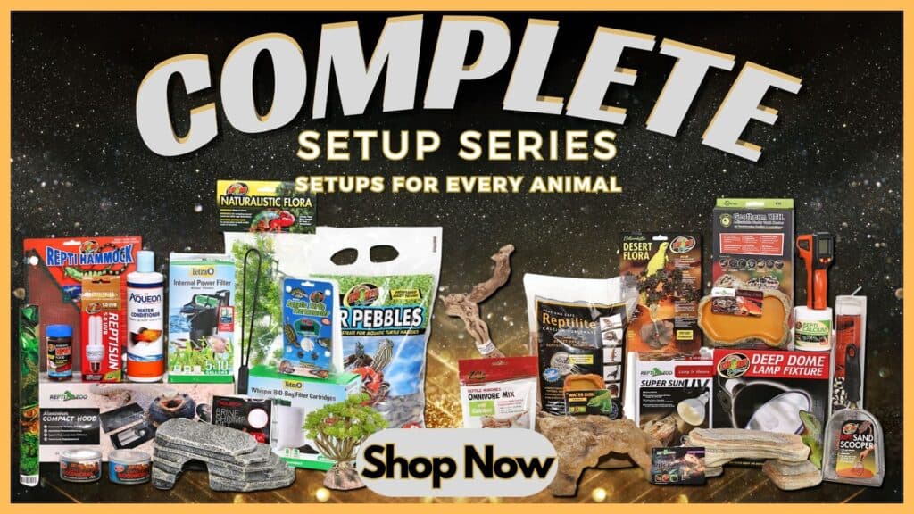 Reptile Kits
