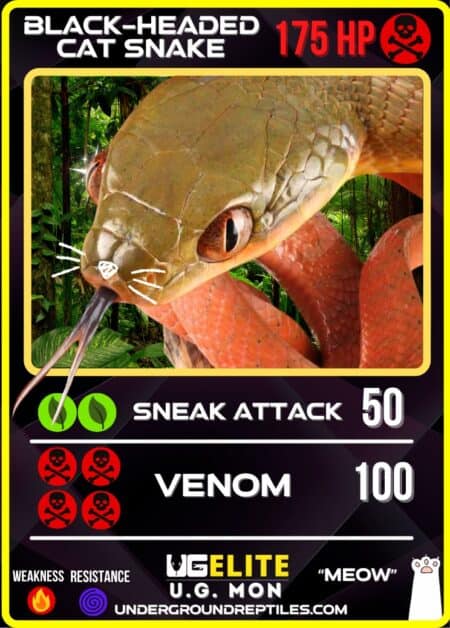 June 2025 UGMon Card