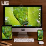 May 2025 UGR Digitial Wallpaper - Green Tree Python