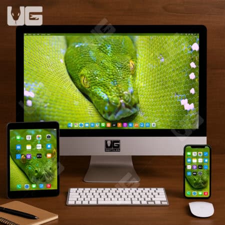 May 2025 UGR Digitial Wallpaper - Green Tree Python