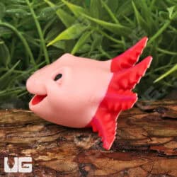 3D Printed Reptiles & Inverts – A New Dimension of Nature’s Wonders!