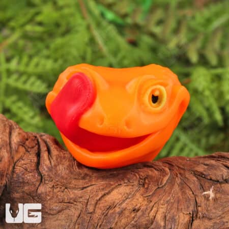 3D Printed Reptiles & Inverts – A New Dimension of Nature’s Wonders!