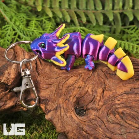 3D Printed Reptiles & Inverts – A New Dimension of Nature’s Wonders!