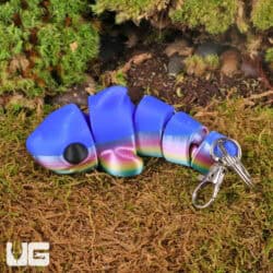 3D Printed Reptiles & Inverts – A New Dimension of Nature’s Wonders!