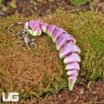 3D Printed Reptiles & Inverts – A New Dimension of Nature’s Wonders!