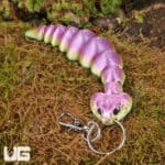 3D Printed Reptiles & Inverts – A New Dimension of Nature’s Wonders!