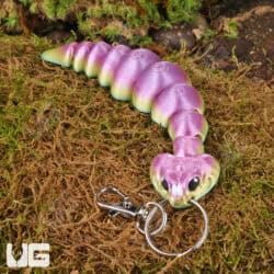 3D Printed Reptiles & Inverts – A New Dimension of Nature’s Wonders!