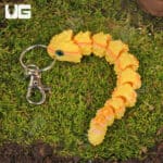 3D Printed Reptiles & Inverts – A New Dimension of Nature’s Wonders!
