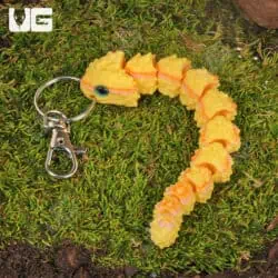 3D Printed Reptiles & Inverts – A New Dimension of Nature’s Wonders!