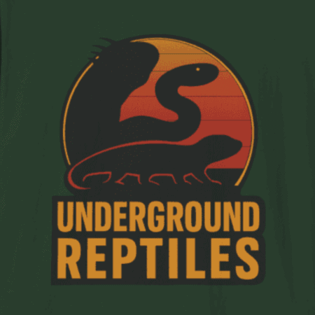 UGR Circle Logo T-Shirt - June 2025