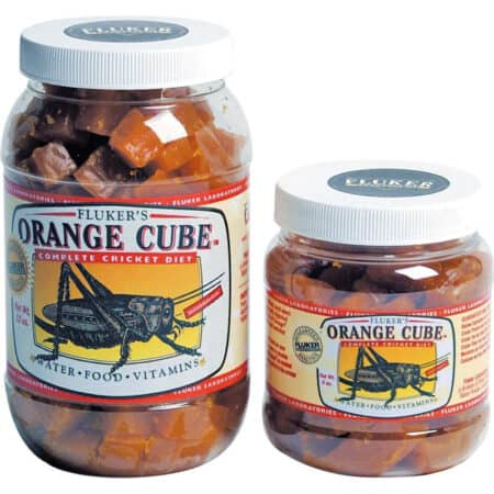 Reptile food cubes in two jars for lizards and snakes.