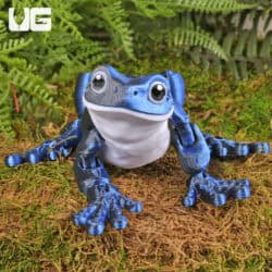 3D UG Critters - Adult Dumpy Tree Frog
