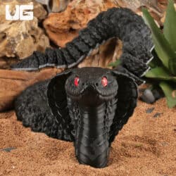 3D UG Critters - Cobra