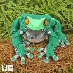 3D UG Critters - Waxy Monkey Tree Frog