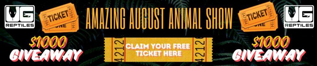 Amazing August Animal Live Show