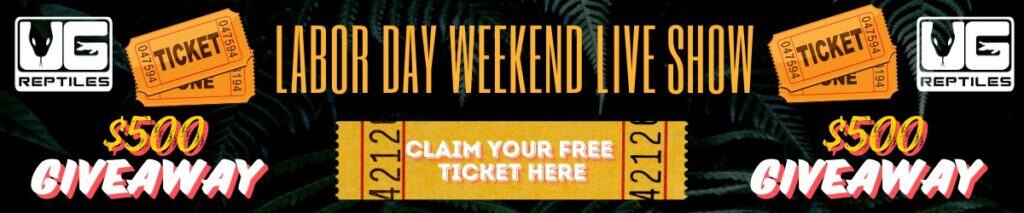 Labor Day Weekend Live Show