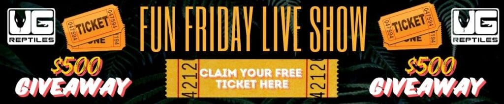 Fun Friday Live Show