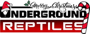 Underground Reptiles - Merry Christmas