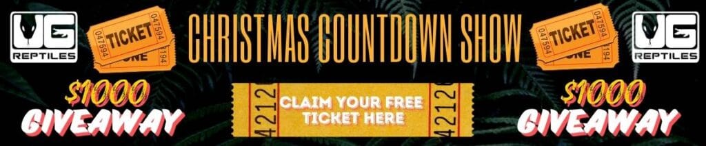 Christmas Countdown Live Show Raffle