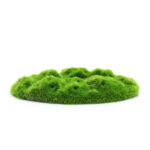 aqua-floras-moss-patch-opt