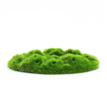 aqua-floras-moss-patch-opt