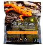 Galapagos-Pillow-Moss-4-Qt