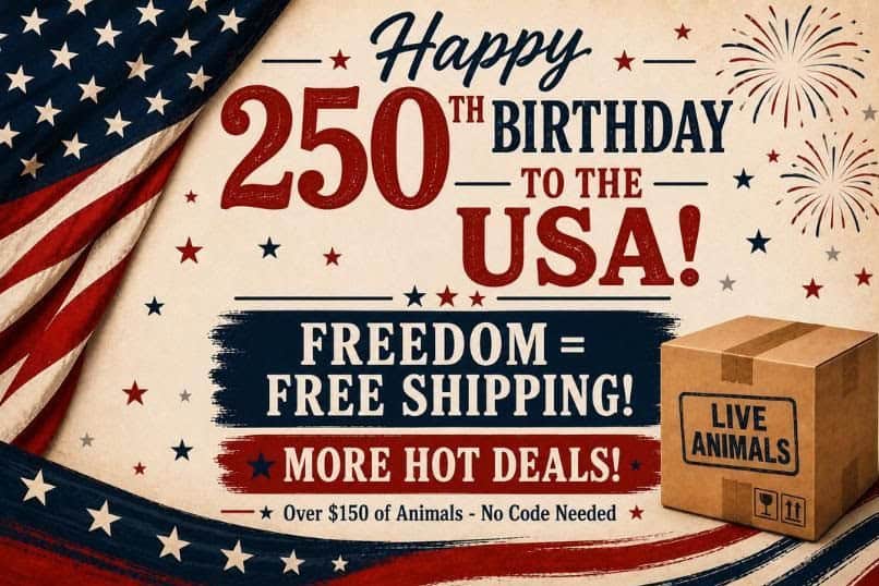 FREE Shipping for USA 250